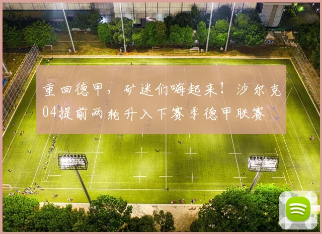 重回德甲，矿迷们嗨起来！沙尔克04提前两轮升入下赛季德甲联赛